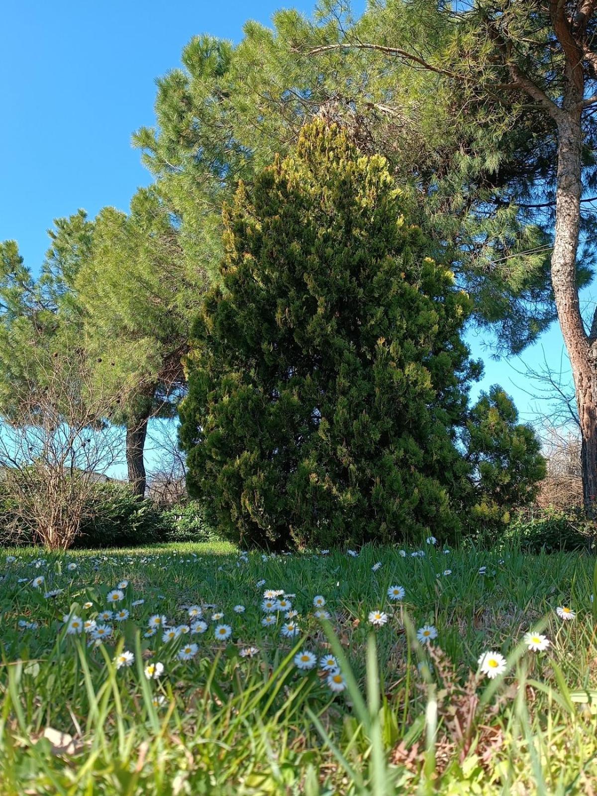 Capricornio Club Diffuso Casa Carlotta Villa Santa Maria della Versa Екстериор снимка